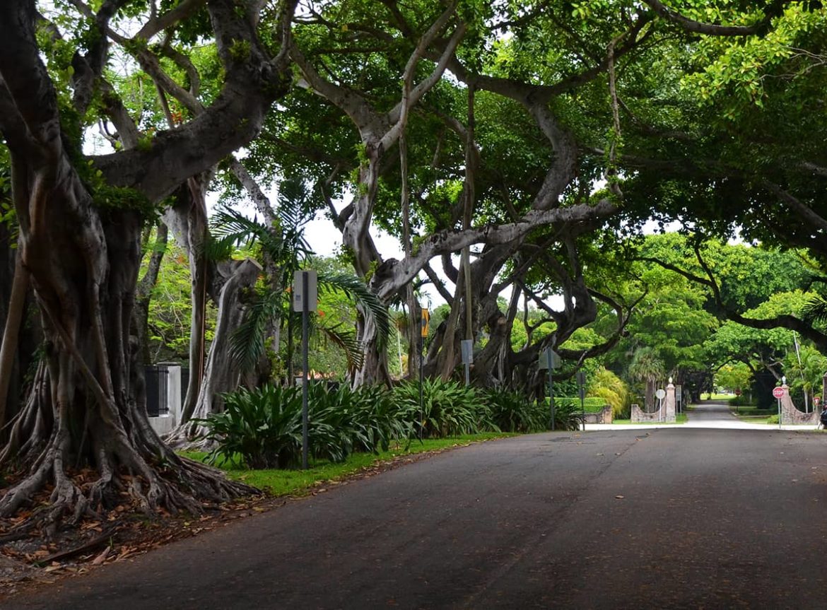 The Coral Gables Neighborhood Experience Guide